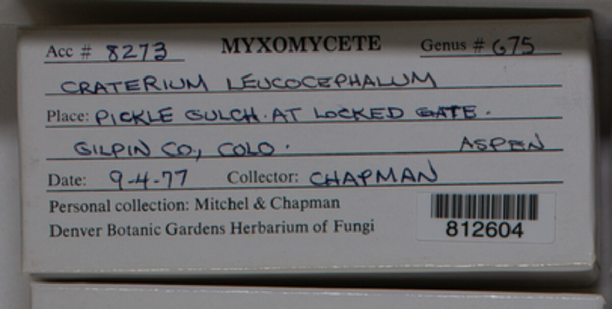 Craterium image